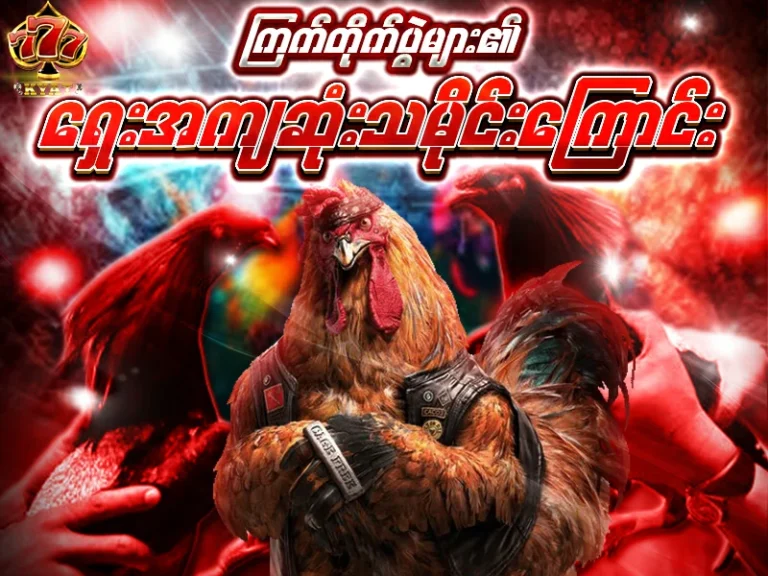 ကြက်တိုက်ပွဲ (Cock Fighting)