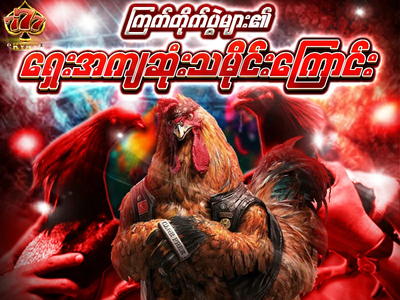 ကြက်တိုက်ပွဲ (Cock Fighting)
